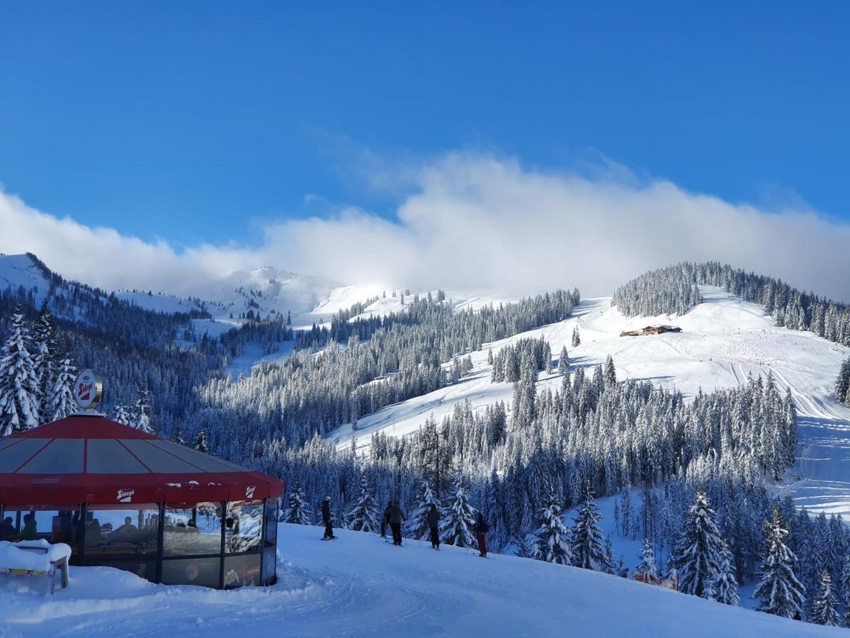 Haus Sonnleiten Maria Alm am Steinernen Meer Exterior photo